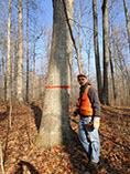 Forest Management