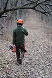 Forest Management Plans