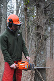 Invasive species control